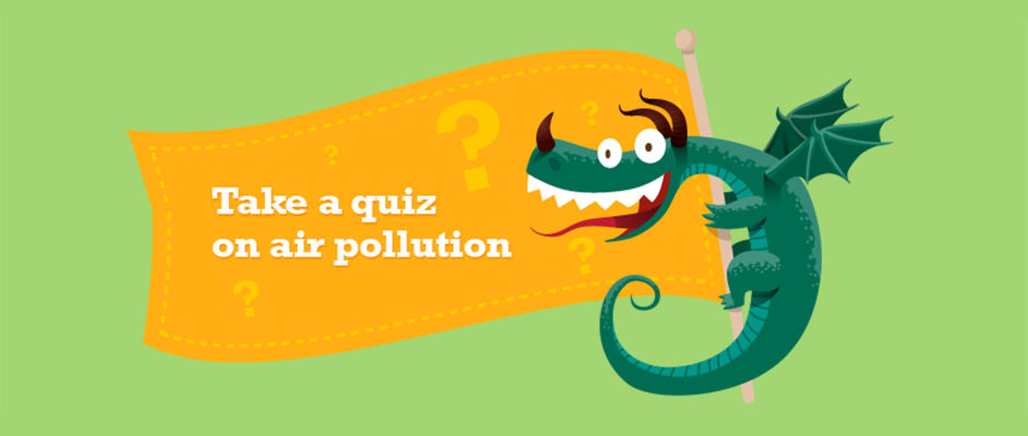 Young Dragons Quiz